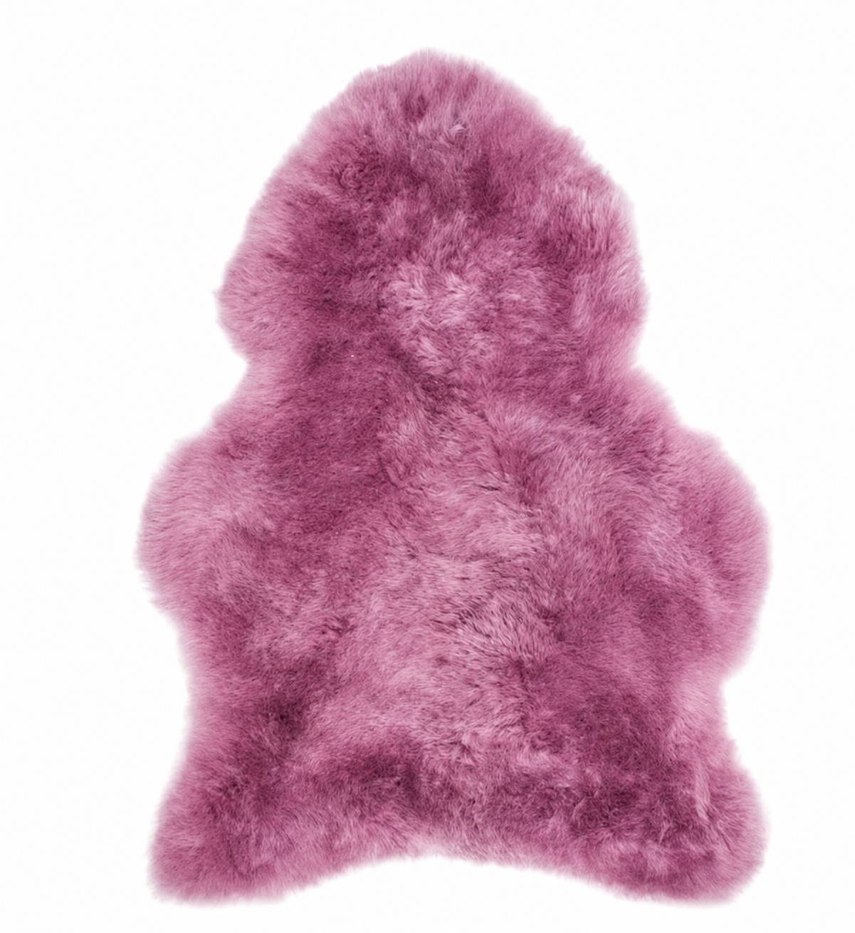 mouton poil court (shorn)